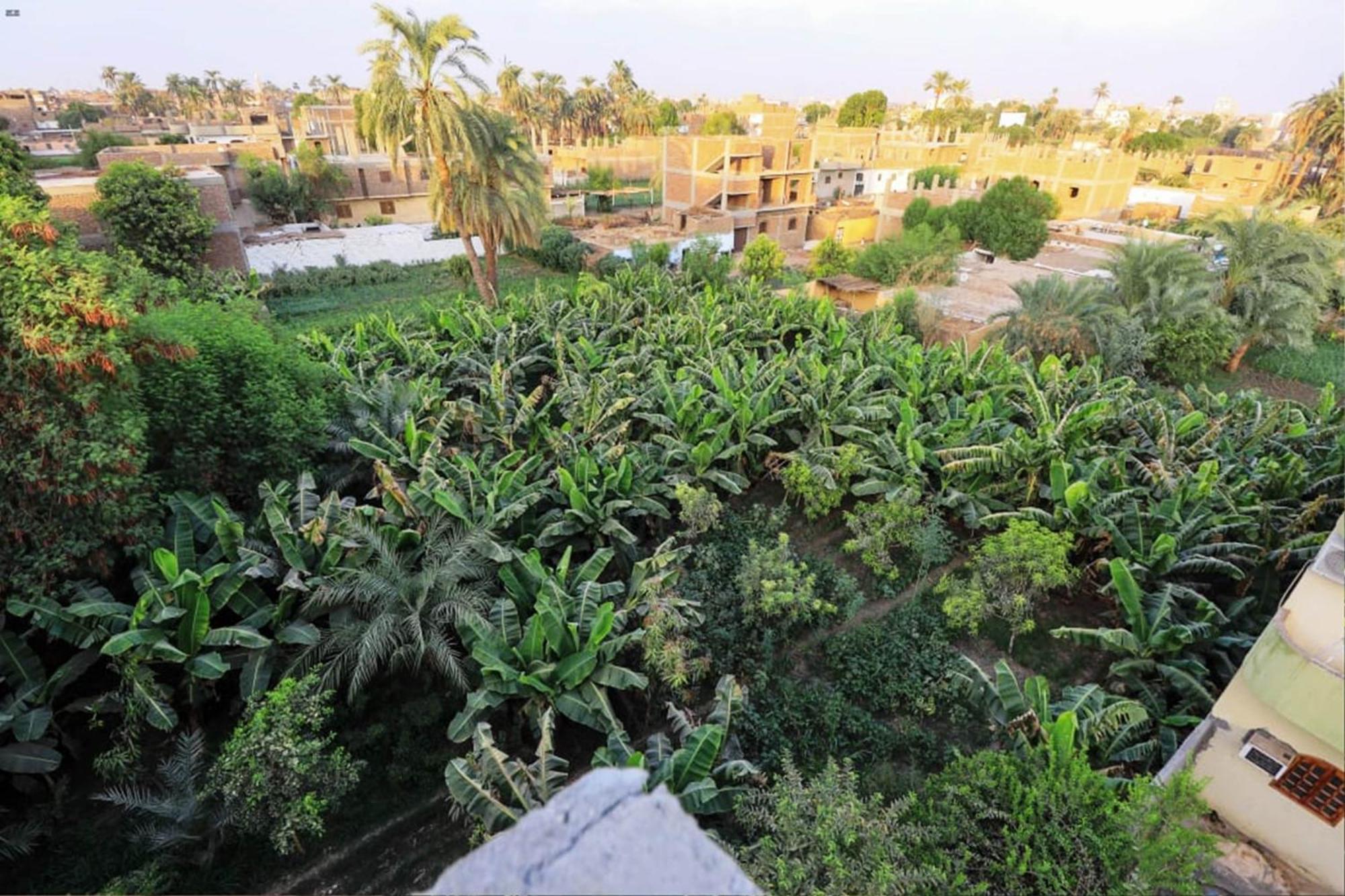 Luxor View Hostel Kültér fotó