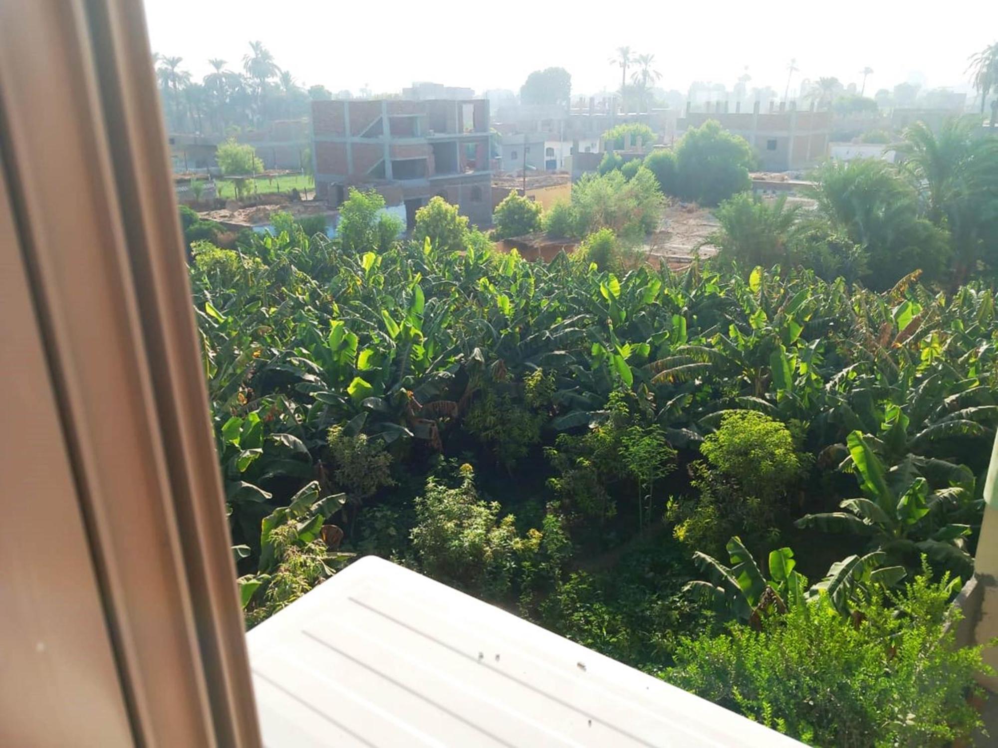 Luxor View Hostel Kültér fotó