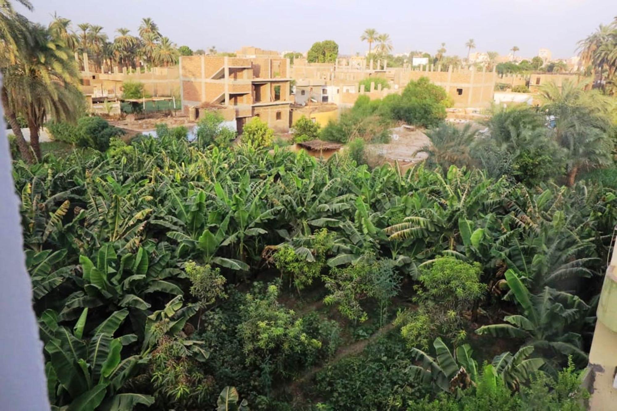 Luxor View Hostel Kültér fotó